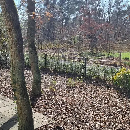 De Bonte Specht Hattemerbroek