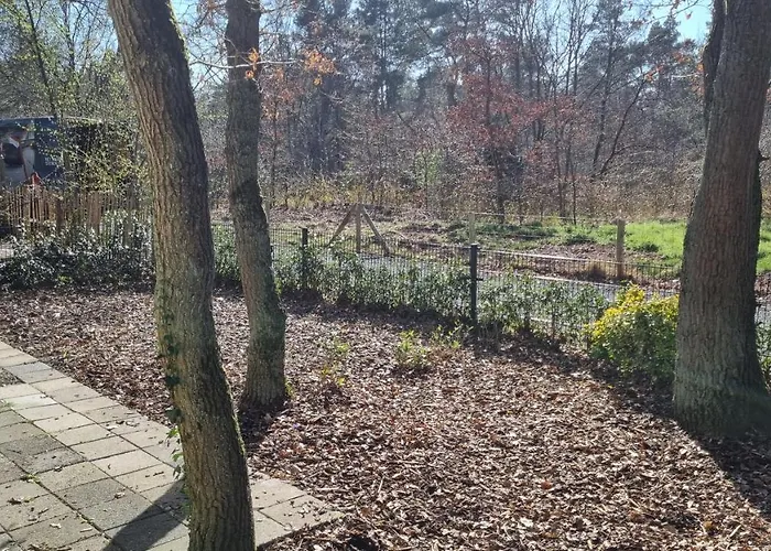 De Bonte Specht Hattemerbroek