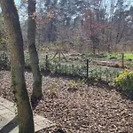 De Bonte Specht Hattemerbroek