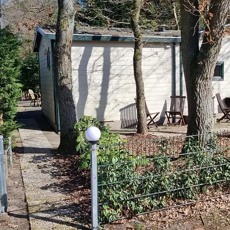 De Bonte Specht Kamp alanı *