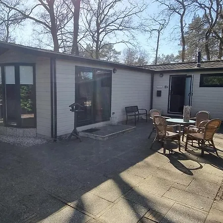 De Bonte Specht Kamp alanı Hattemerbroek