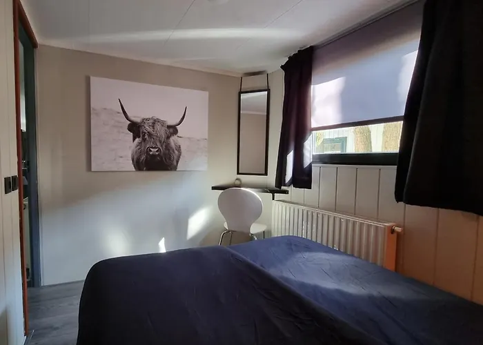 De Bonte Specht Kamp alanı