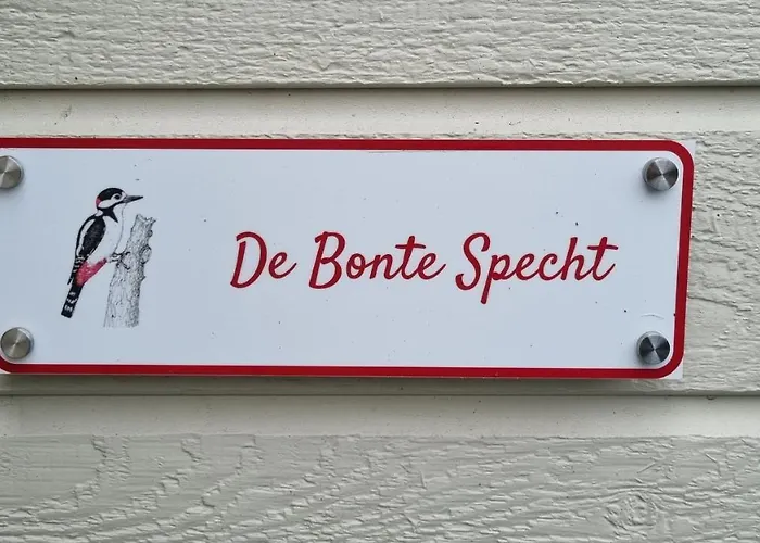 Kamp alanı De Bonte Specht Hattemerbroek