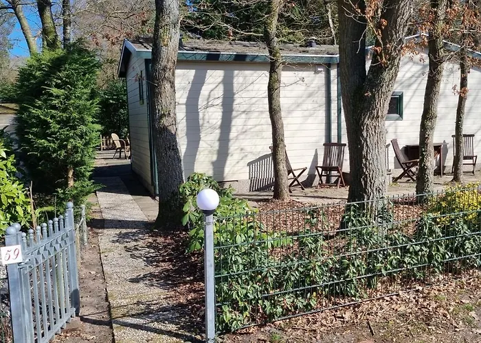 De Bonte Specht Kamp alanı *