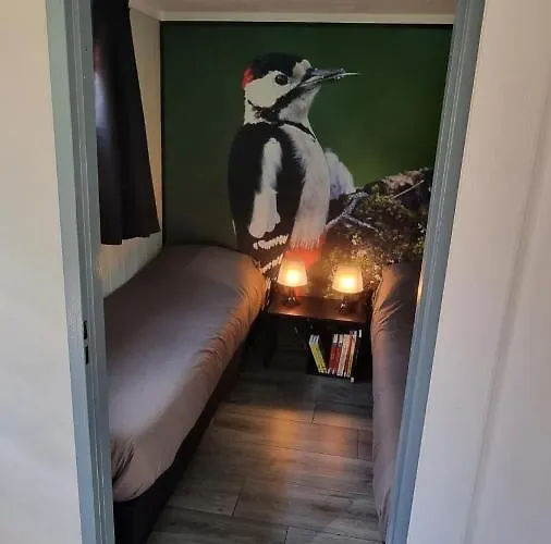 Kamp alanı De Bonte Specht *